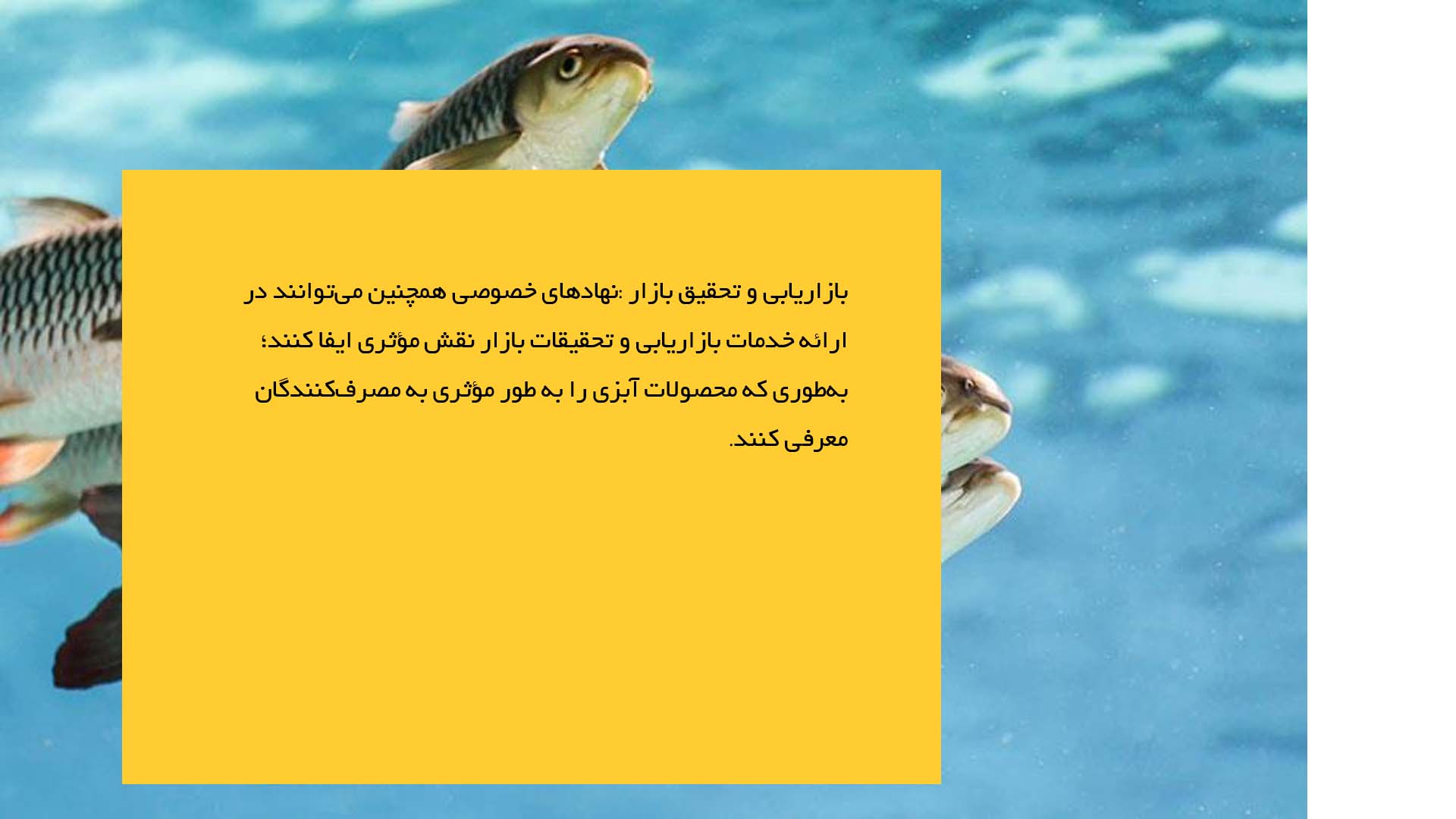 پاورپوینت در مورد نقش نهادهای دولتی و خصوصی در آبزی‌پروری